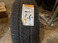 255/40 R21 102V Pirelli Scorpion Winter  Winterreifen