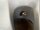 3er BMW Alufelgen Spider Spoke 159, 8x17/ET34 / 6775597